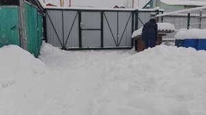 Опять разминка с лопатой. Жарю шампиньоны. Дневник за 10 ноября 2025 год