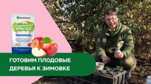 Готовим плодовые деревья к зимовке