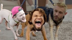 Бешеные псы