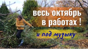 Привожу сад в порядок. Хосты в теплицу. Обрезка и уборка.