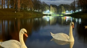 Вяжем играя с Еленой Велиной. Старт 16 тур.