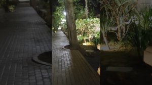 Вечерний водопад. Аллея. Старый парк. #кабардинка