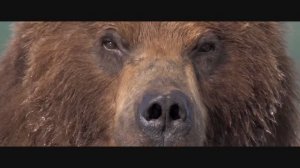 Не тормози - НЕРКАни