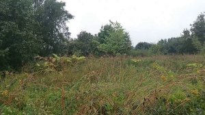 Елизаветино 1350