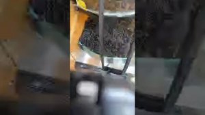 женский базар в Турции