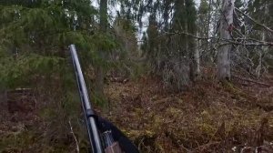 ДОБЫЛ МЯСО НА ГОД.