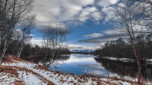 31 октября.Purrle Cat