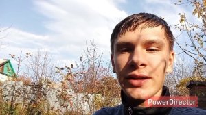 10 ноября 2025