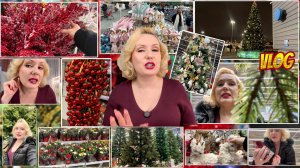 VLOG:РЕЗКО ПОМЕНЯЛИСЬ ПЛАНЫ || ГАЛЯ, У НАС ОТМЕНА || НЕ ОЦЕНИЛА ЕЛКИ🎄|| КУПИЛА СКАТЕРТЬ и пр.