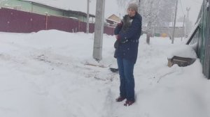 Опять разминка с лопатой. Жарю шампиньоны. Дневник за 10 ноября 2025 год