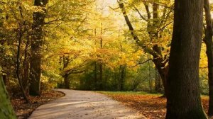 Ф. Шопен. 2 концерт для ф-но с оркестром  2ч. F. Chopin. 2 concerto for piano and orchestra 2h