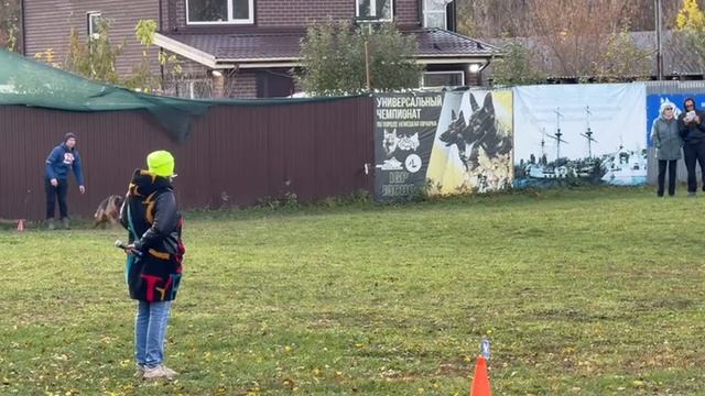 1 Отл. GERMANIYA v. Wespen Haus ++- №26. ВОРОНЕЖ 26 октября`25 Моно немецких овчарок