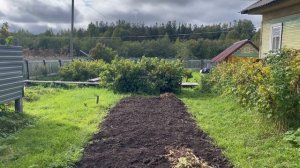 Что попадается среди картофельных гряд? Копаю на старом хуторе