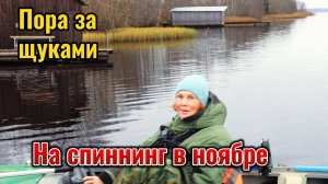 Наконец то наступает долгожданный щучий жор. Пользуюсь случаем и даже неплохо половила.