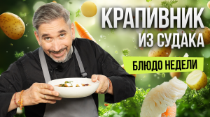 Блюдо недели: сибирский КРАПИВНИК из СУДАКА от шеф-повара Николая Ильина