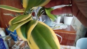 Доставка с Валберис. Что и для чего.