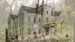 Усадьба фон Мекк в Тульской области