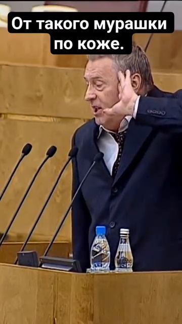 Жириновский рассказывает как устроена политика Америки жириновский россия сша [get.gt] смотреть онлайн