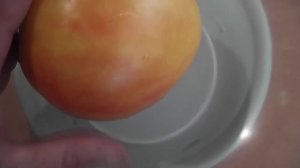 Томат Полуночное солнце