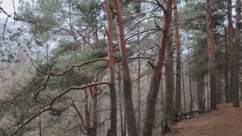 Новости в мире финансов и экономики. Начало ноября 2025 года