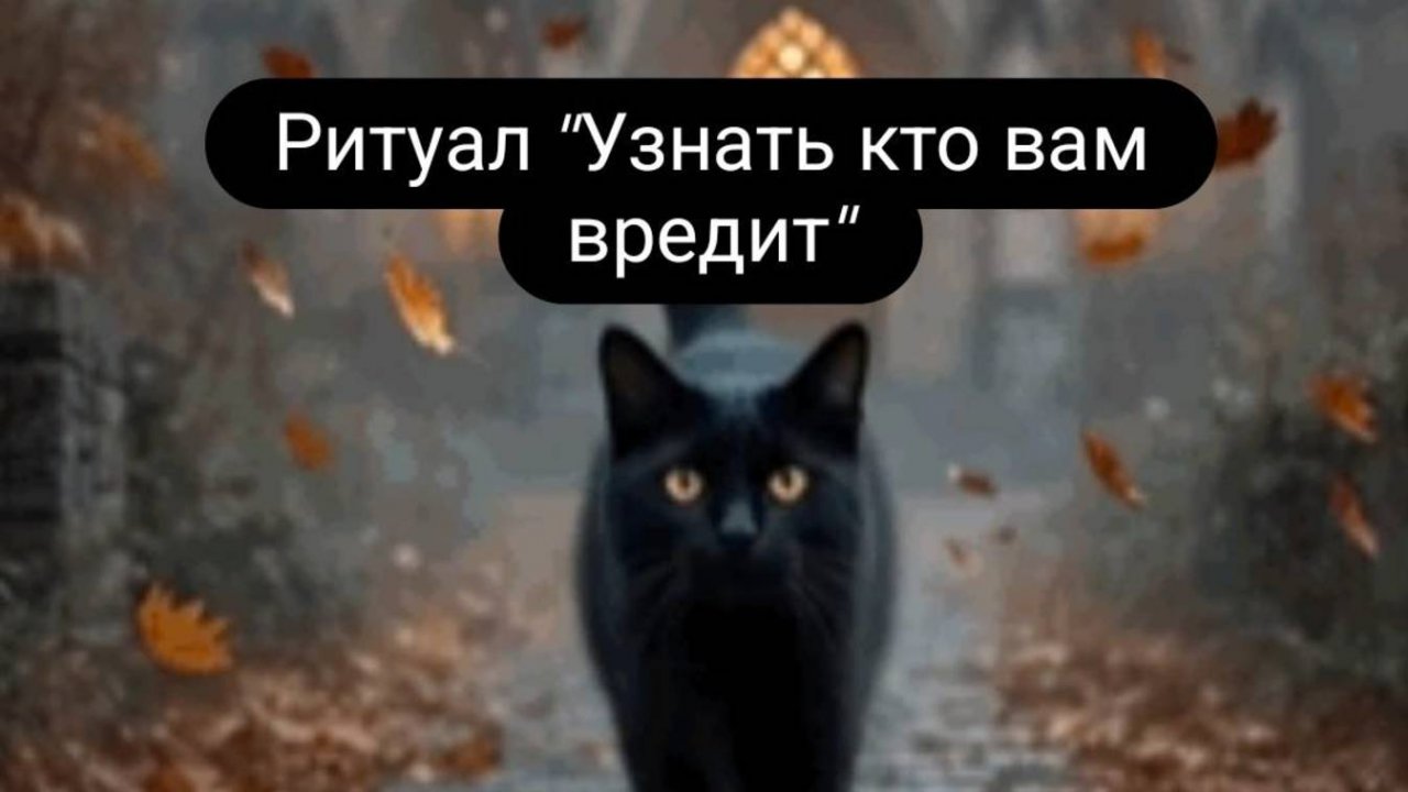 Ритуал _Узнать вредящего врага_#ритуал #узнатьврага #ктовредит