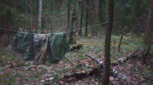 Ритмичность камуфляжа