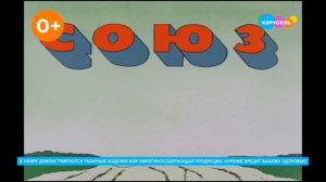 Плашка курить вредно Карусель (28.06.2025)