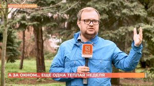 А за окном. 10 ноября 2025