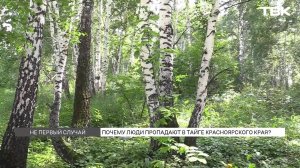 Почему в лесах Красноярского края стали чаще пропадать люди?