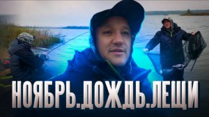 Приехал в дождь за лещами! Крутая рыбалка на фидер в ноябре. Рыба всё ещё клюёт! #feeder