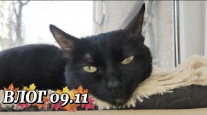 ВЛОГ 🥰ВЕЧЕР 🫶09.11