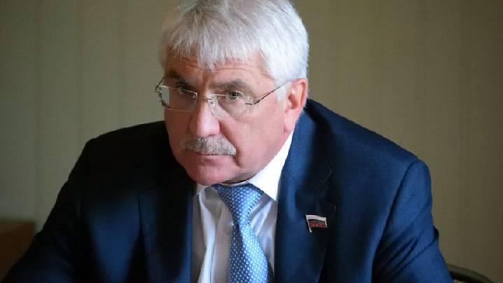 Депутат Чепа назвал мнимым популизмом претензии Японии на Курилы