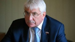 Депутат Чепа назвал мнимым популизмом претензии Японии на Курилы