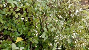 хроника 6.11.25.