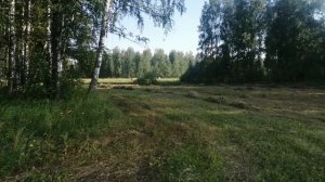 вот почему сено лучше сохраняется