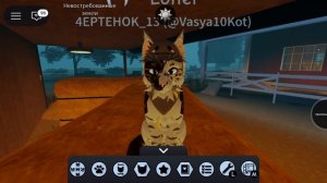 Все воинские законы который должен знать каждый кот WCUE