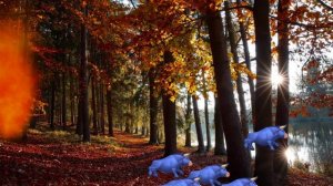 ФУТАЖ  ДЛЯ ВИДЕОМОНТАЖА