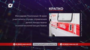 Кратко / 10.11.25