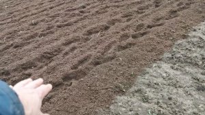 Как избавиться от сорняков на своём приусадебном участке. Плюс Чёрная ПЯТНИЦА на pomidom.ru