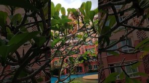 Паттайя кондоминиум Seven seas...