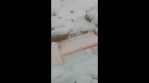 Работы в дацане