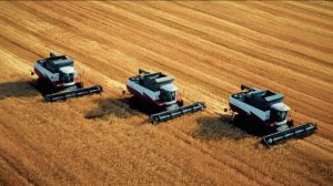 День народного единства