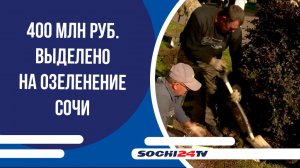 400 млн руб. выделено на озеленение Сочи