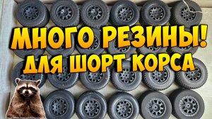 [FAQ] Актуальная резина для соревнований на Short Course радиоуправляемой модели!