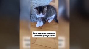 Видео от МЭН - Мне Это Нравится