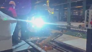 Станок для сварки каркасов БНС HLZ-1000 G  TJK Machinery