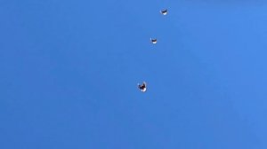 присланное от Лехи цыгана.