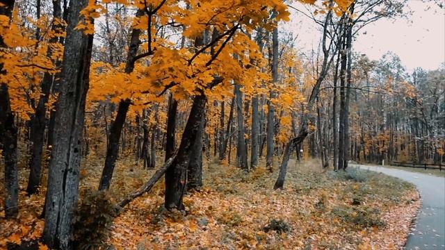 🍁ОКТЯБРЬ смотреть онлайн