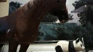 осенний СЕНТЯБРЁВСКИЙ КУХОННО-КОМНАТНЫЙ БЛОГ №1525 ПОРА ТОРТИК ДОЕДАТЬ...