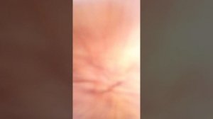 как сделать бумажный меч из бумаги за 10 мин.? Ответ сдесь!